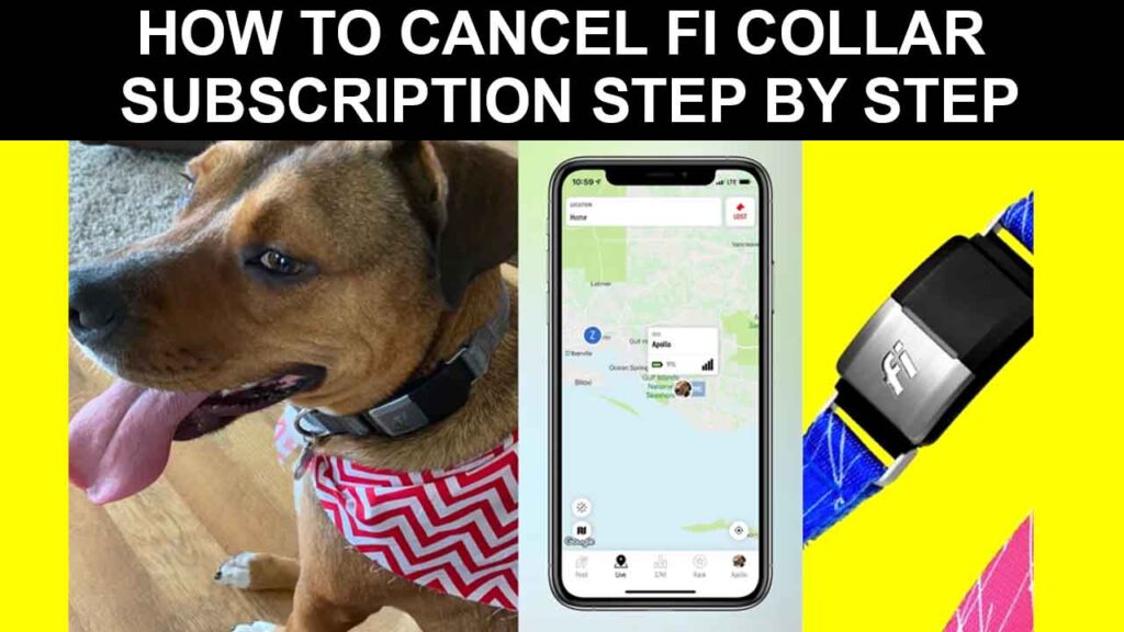 How to Cancel Fi Collar Subscription Step by Step